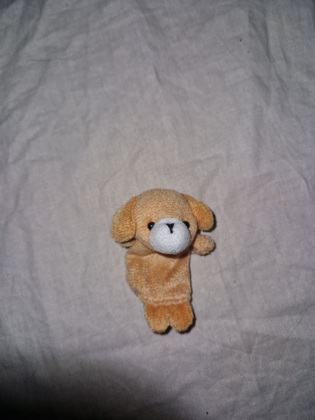 Spielzeuge: Fingerpuppe – Gebraucht aus Stüsslingen von white_angel86