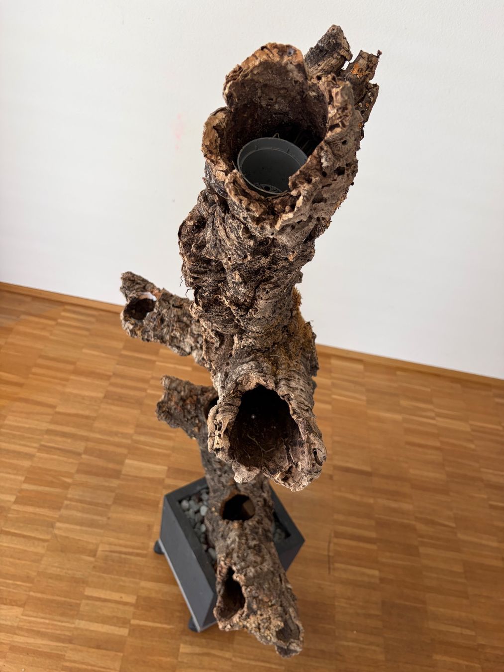 Toutes les décorations: Dekorations Baum aus Korkholz mit Topf – D'occasion à Kestenholz par Oliiiii 3