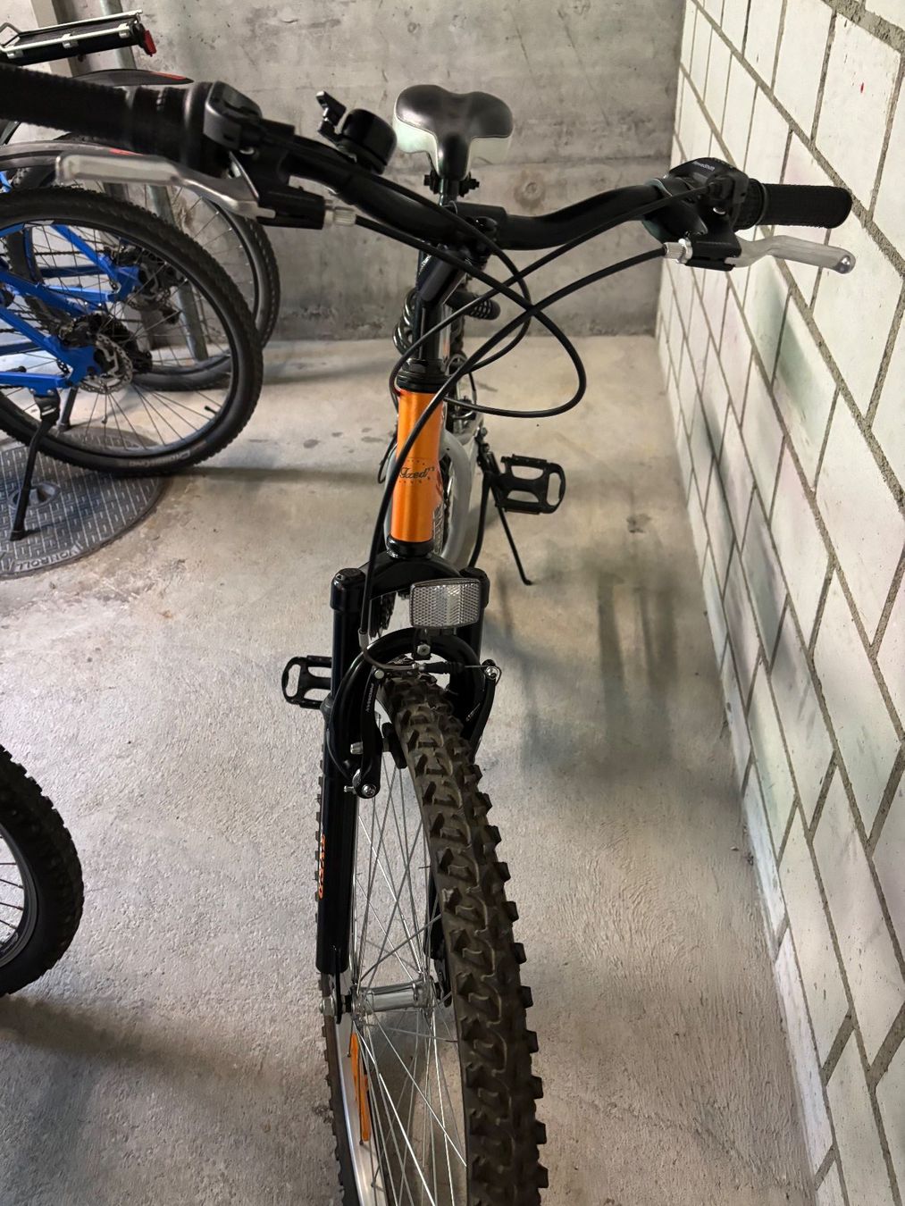 Biciclette: Mountainbike TXDE Tiger 2.1 – Usato da Sargans venduto da sandy1071 4