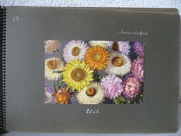 Blumenkartensammlung - Collection de cartes florales