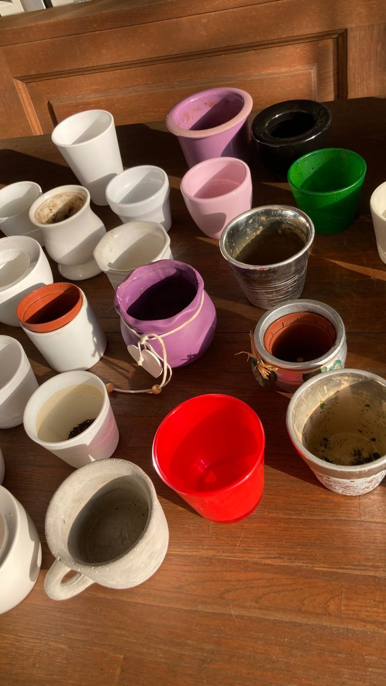 Pots de fleurs: Blumentöpfe Keramik gemischt – D'occasion à Zwingen par Hugom 5