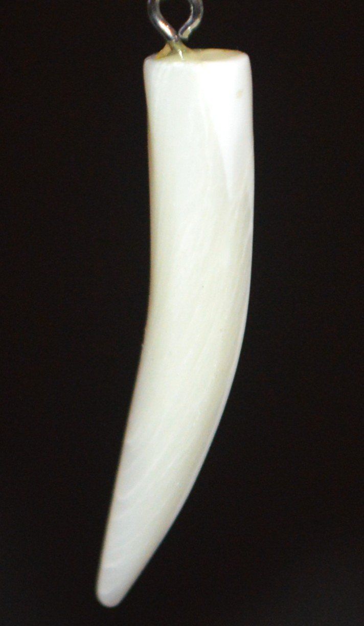 Ciondoli: Anhänger L-8310 – Perlmutter Zahn ca. 3cm – Nuovo e nell'imballaggio originale da Goldiwil (Thun) venduto da han_v5b7 4