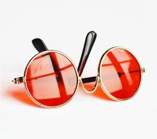 NEUE Brille für Tiershootings mit orangen Gläsern - 224248