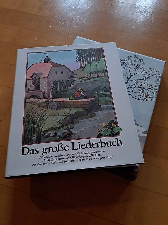 Libri: Das grosse Liederbuch - Diogenes - Gebundene Ausgabe – Usato da Winterthur venduto da 77tigerente