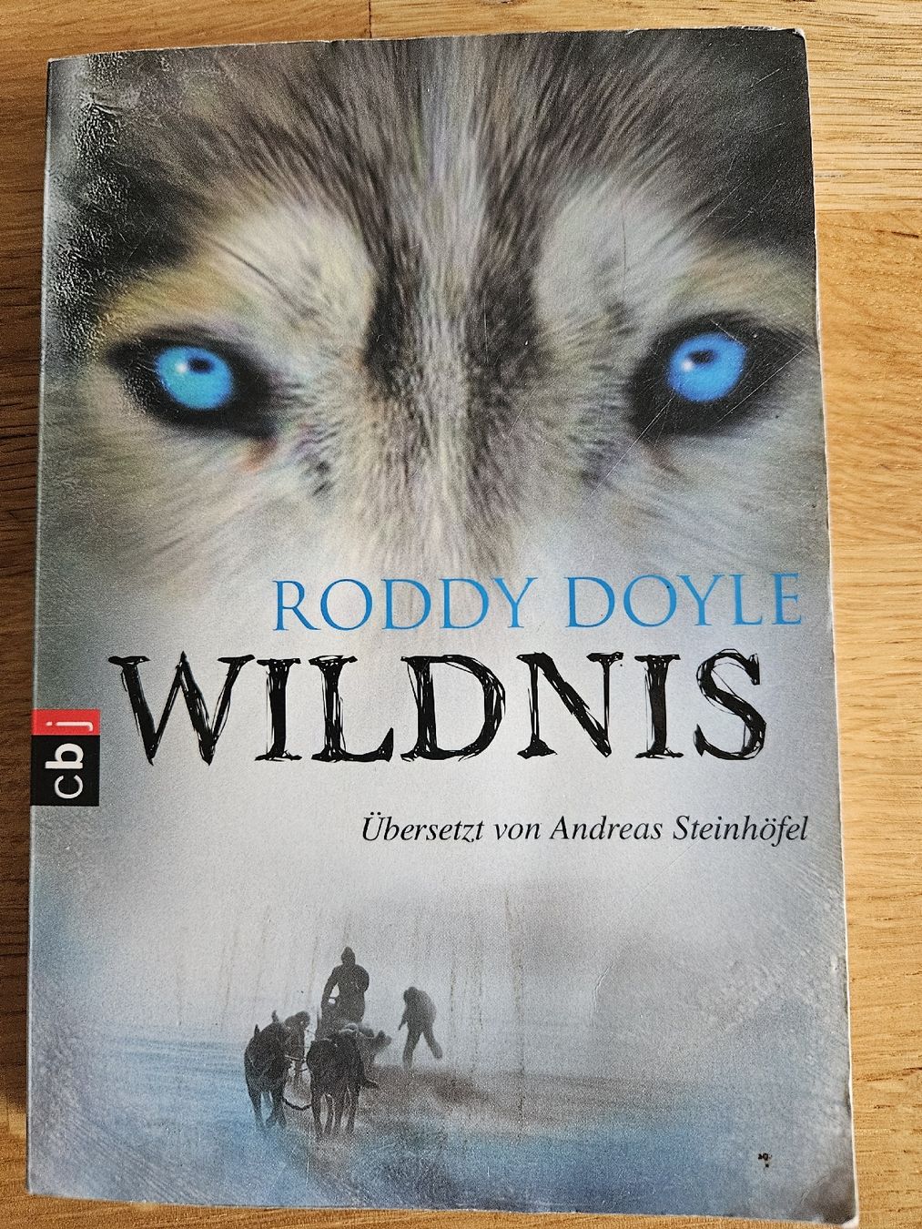 Libri: Wildnis von Roddy Doyle – Usato da Mühlethurnen venduto da Kurt74