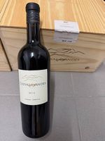 CHEVAL DES ANDES  The South American Cheval Blanc