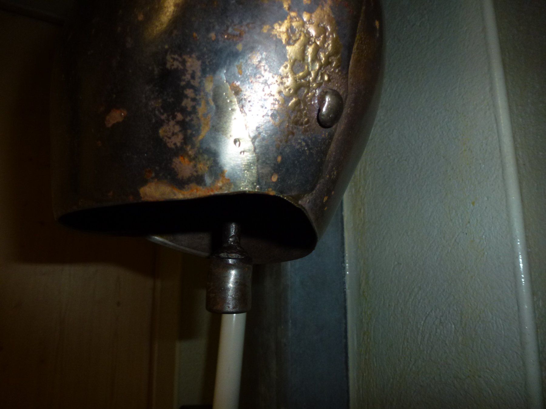 Morier Campanacci mucche: P.MORIER – Usato da Bürglen UR venduto da daisyxy5 6