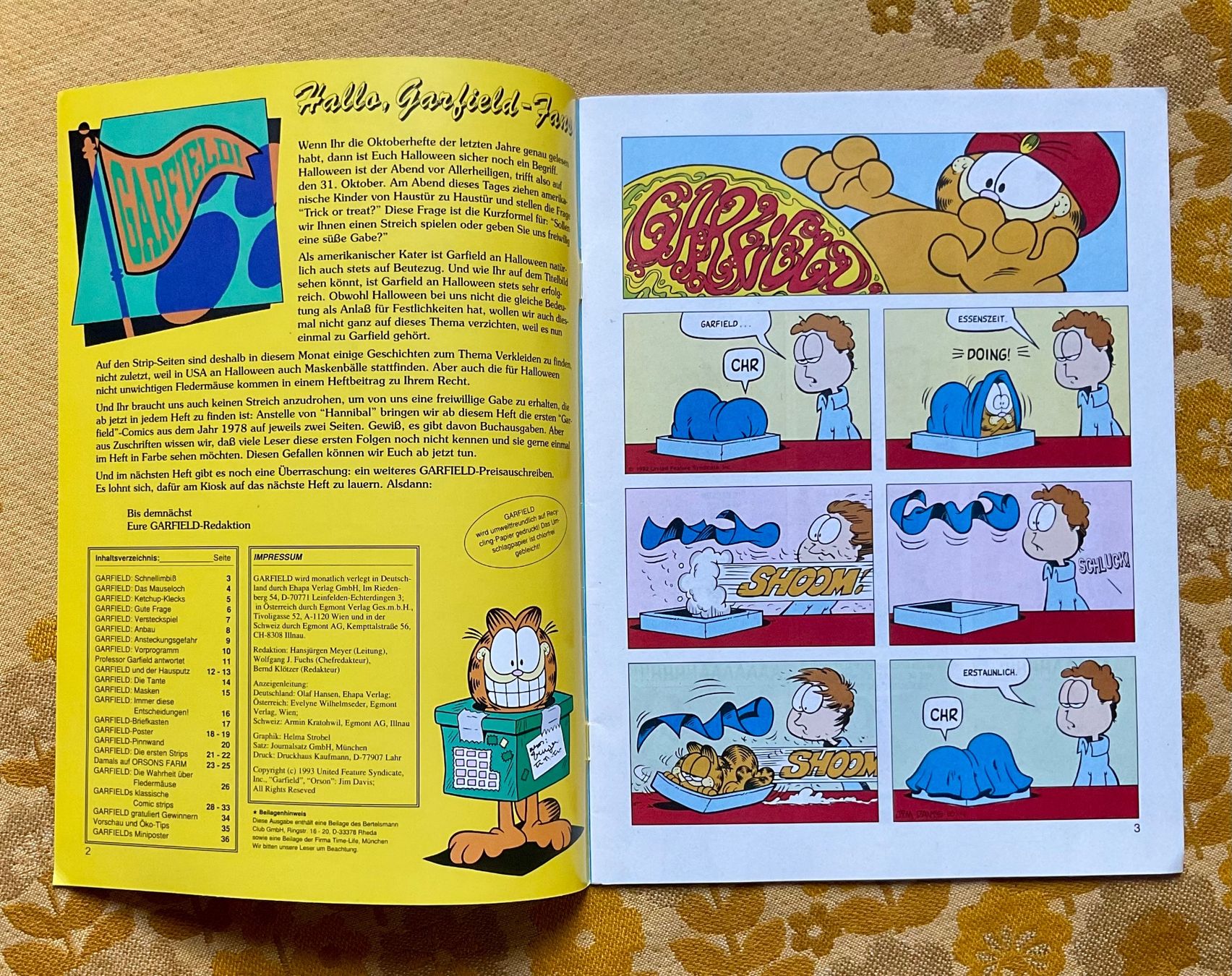 Comics: Garfield Heft Nr 10 von 1993 – Gebraucht aus Endingen von nathan05 1
