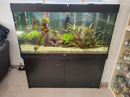 Juwel Aquarium 360 Liter mit Unterschrank & Zubehör