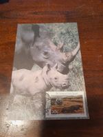 Carte postale rare : Rhinocéros et son petit, timbre inclus!