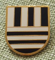 P335 Pin Schweiz Gemeinde Wappen Gemeindewappen - Bremgarten