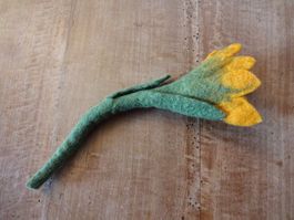 Walk Ansteckblume