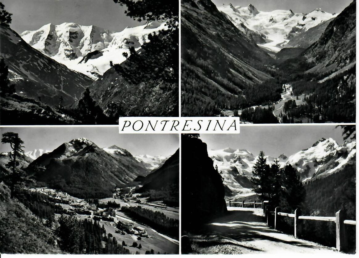 Cartes postales: Pontresina – D'occasion à Hochdorf par Ziegel-16