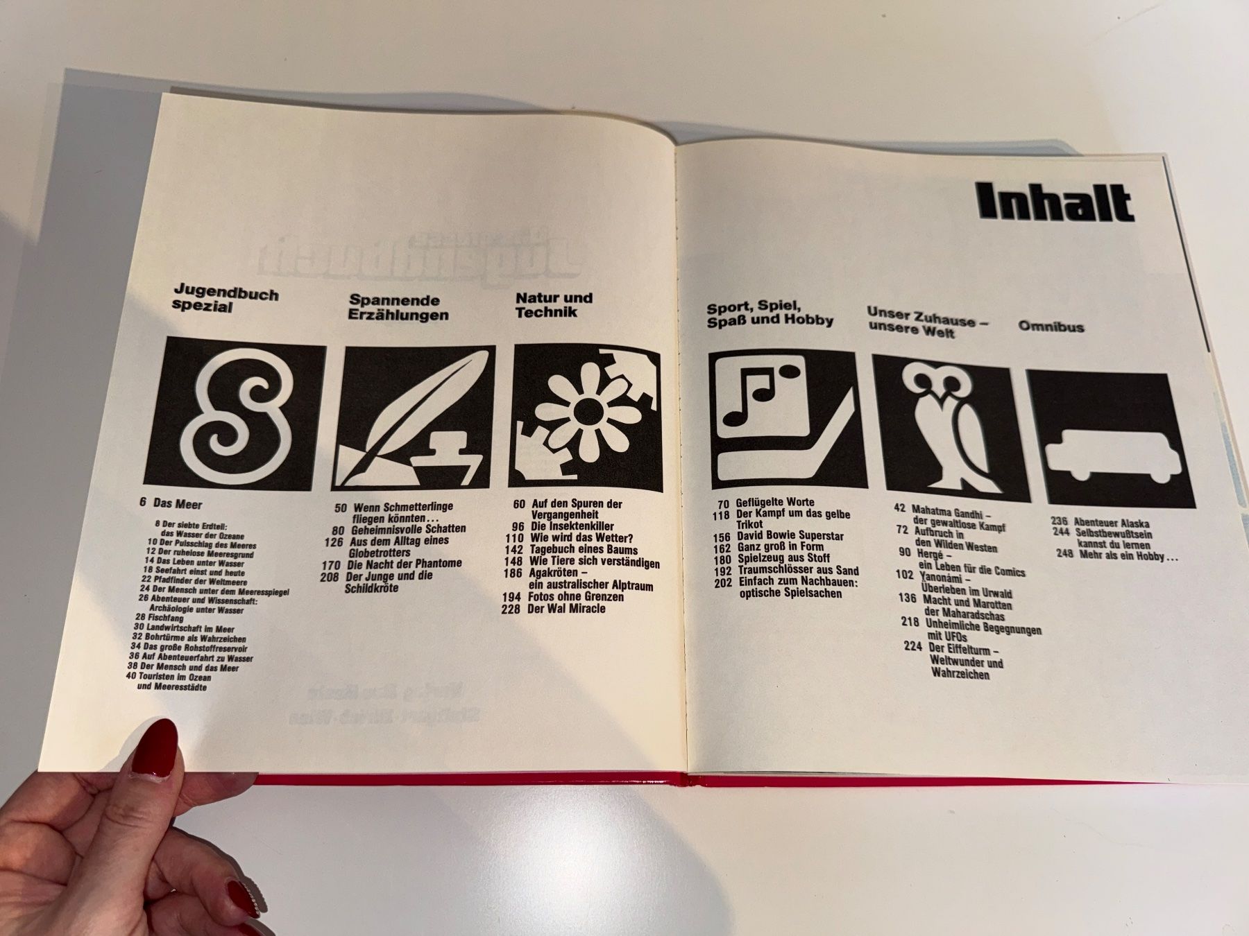 Libri: BUCH: Das grosse Jugendbuch, 26te Folge – Usato da Grosswangen venduto da Second_hand_paradise 2