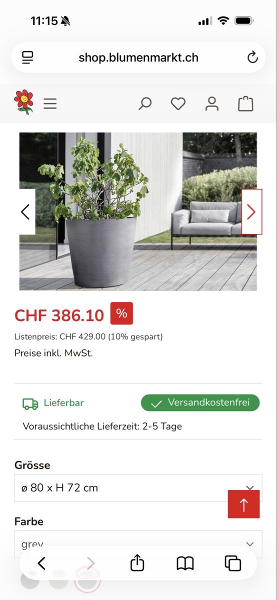 Piante & sementi: Oleander mit rosa Blüten inkl. Topf  – Usato da Zürich venduto da seb_8rsb 6
