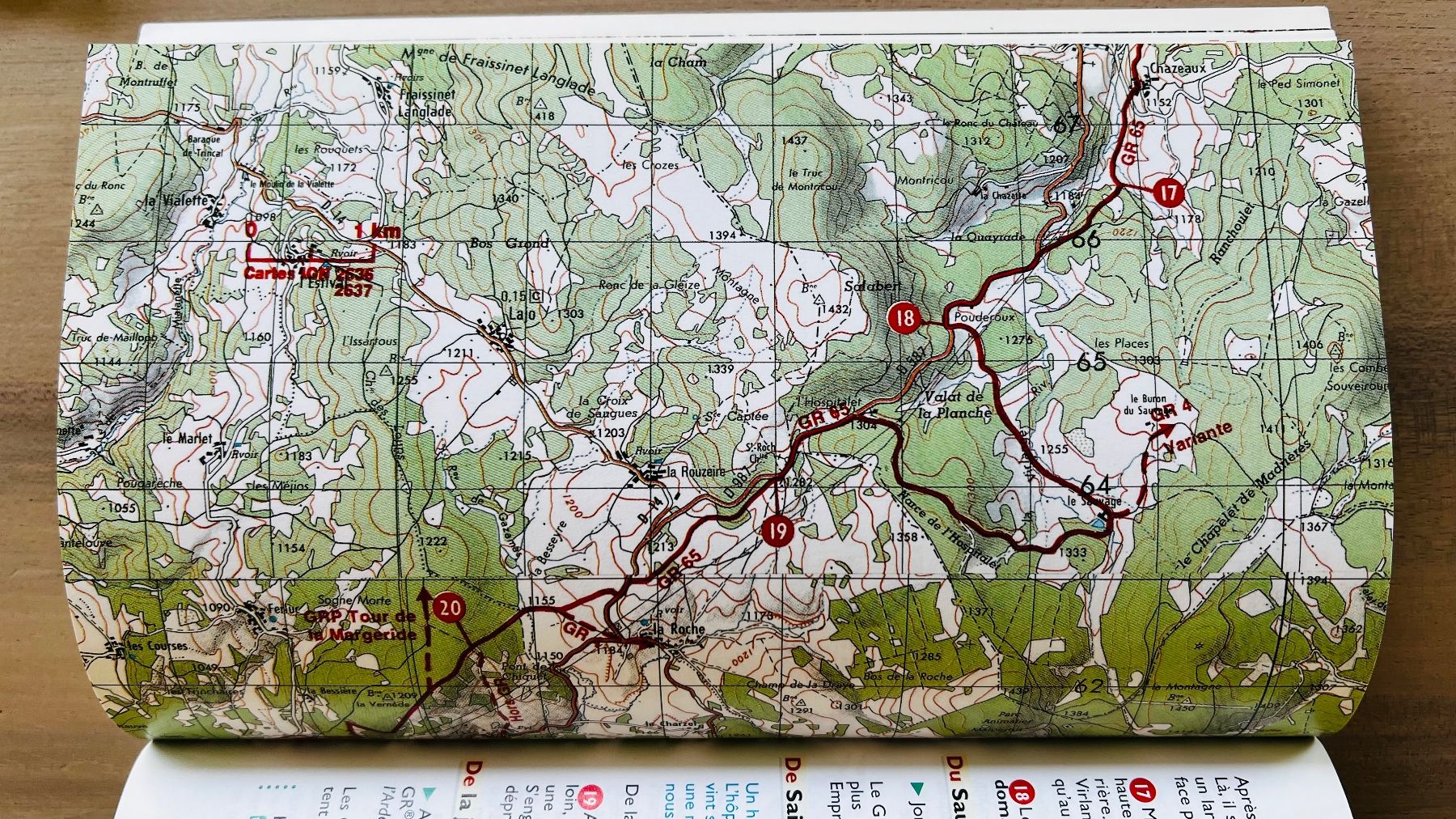 Libri: Topo-Guide Sentier de Saint-Jacques-de-Compostelle GR 65 ... – Usato da Endingen venduto da chocosweet 2