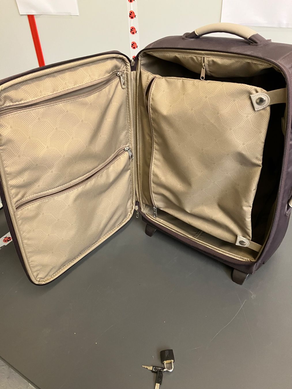 Samsonite Valigie: Handgepäck Koffer Samsonite – Usato da Aarburg venduto da Wendepunkt_Fundgrube 3