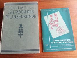 Leitfaden der Pflanzenkunde Schmeil 1933 und Hülsenfrüchte
