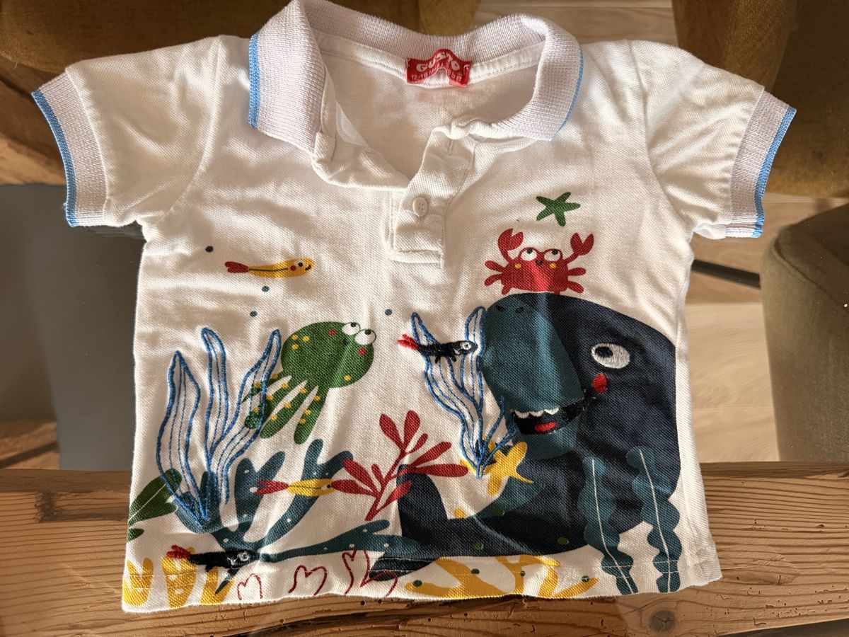 Kleiderpakete & -sets: Kleiderpaket T-Shirts Gr. 86 – Gebraucht aus Disentis/Mustér von oigina 3