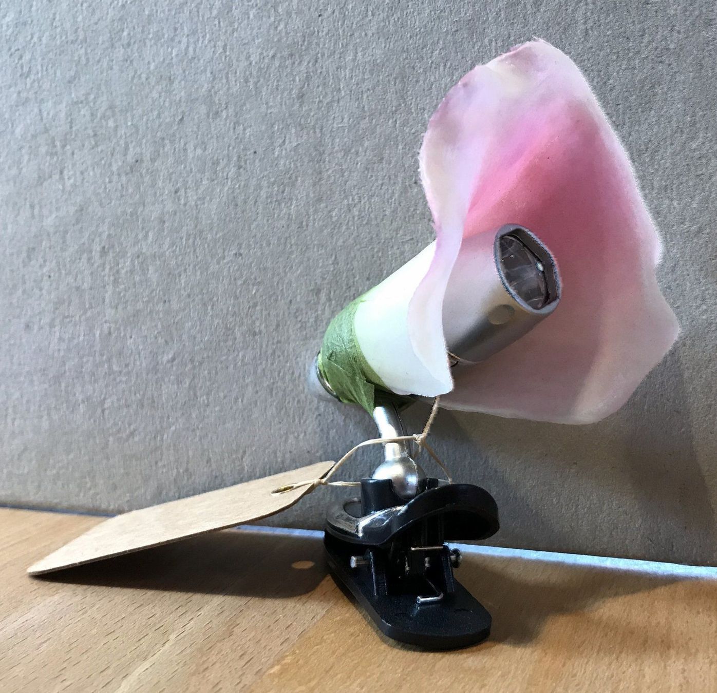 Lampade: Calla Leselampe – Usato da Ottikon venduto da mindfuel 2