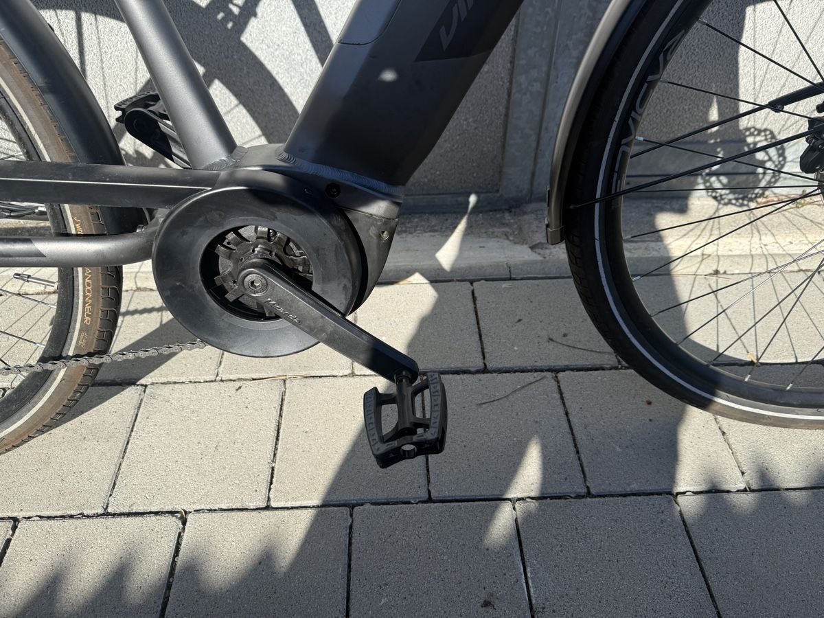 Bosch Biciclette: Viper E-Bike mit Bosch Active Line Motor – Usato da Oberentfelden venduto da bbe_nk5x 9