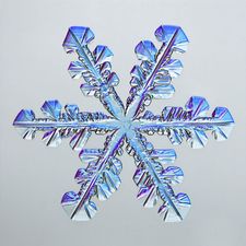 Profile image of ice_shot17