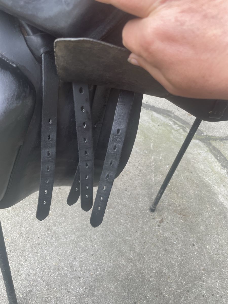 Selle & Accessori: Spirig Dressursattel – Usato da Winterthur venduto da Zyrus29 5
