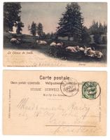 La Chaux de Fonds, Pâturage