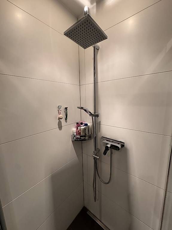 Docce: diaqua Regendusche / Duschsystem Janus – Usato da Kreuzlingen venduto da adhpower0709