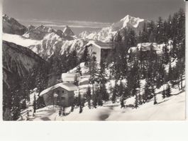 Bettmeralp Waldhotel 1965