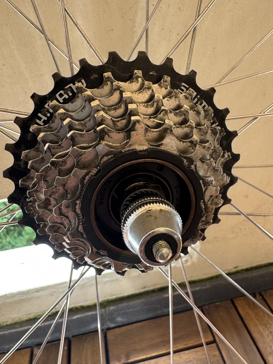Campagnolo Felgen: Campagnolo/Mavic 28“ – Gebraucht aus Zürich von Perowe 6