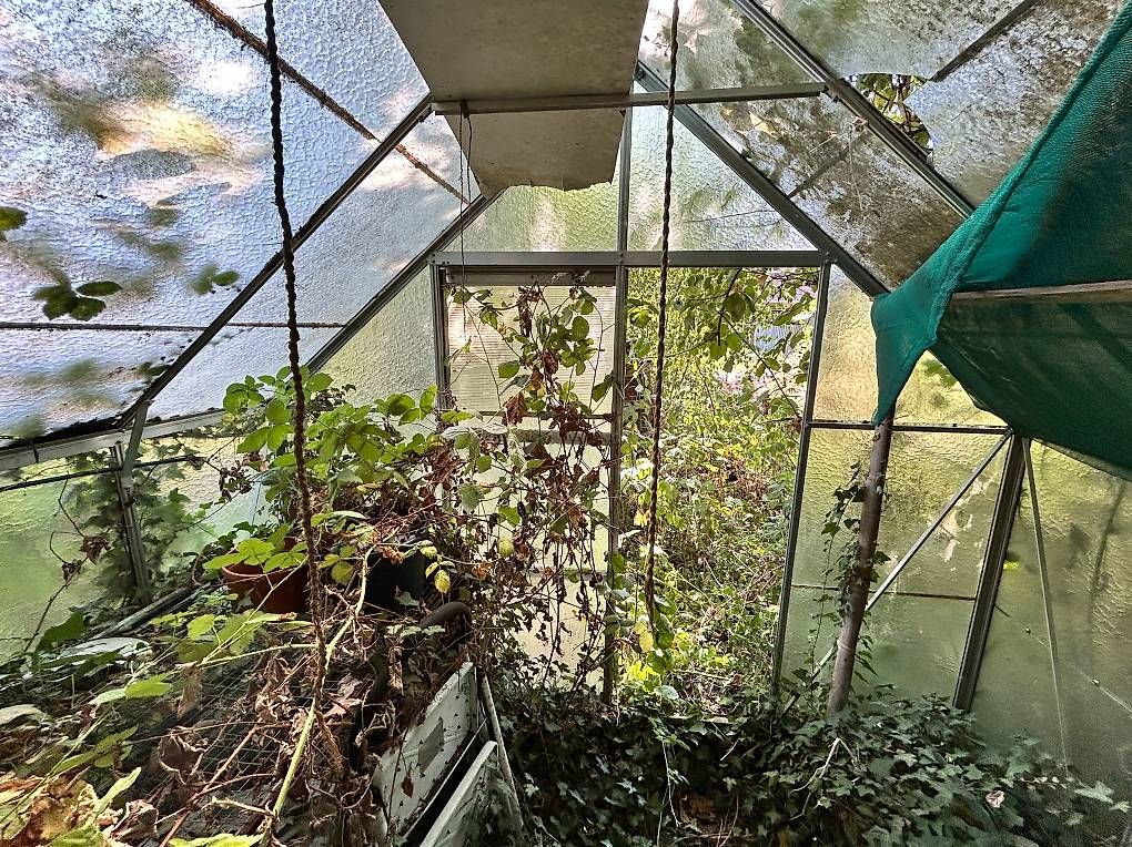 Gartenhäuser & Gewächshäuser: Gewächshaus – Gebraucht aus Wernetshausen von Martilukas 1