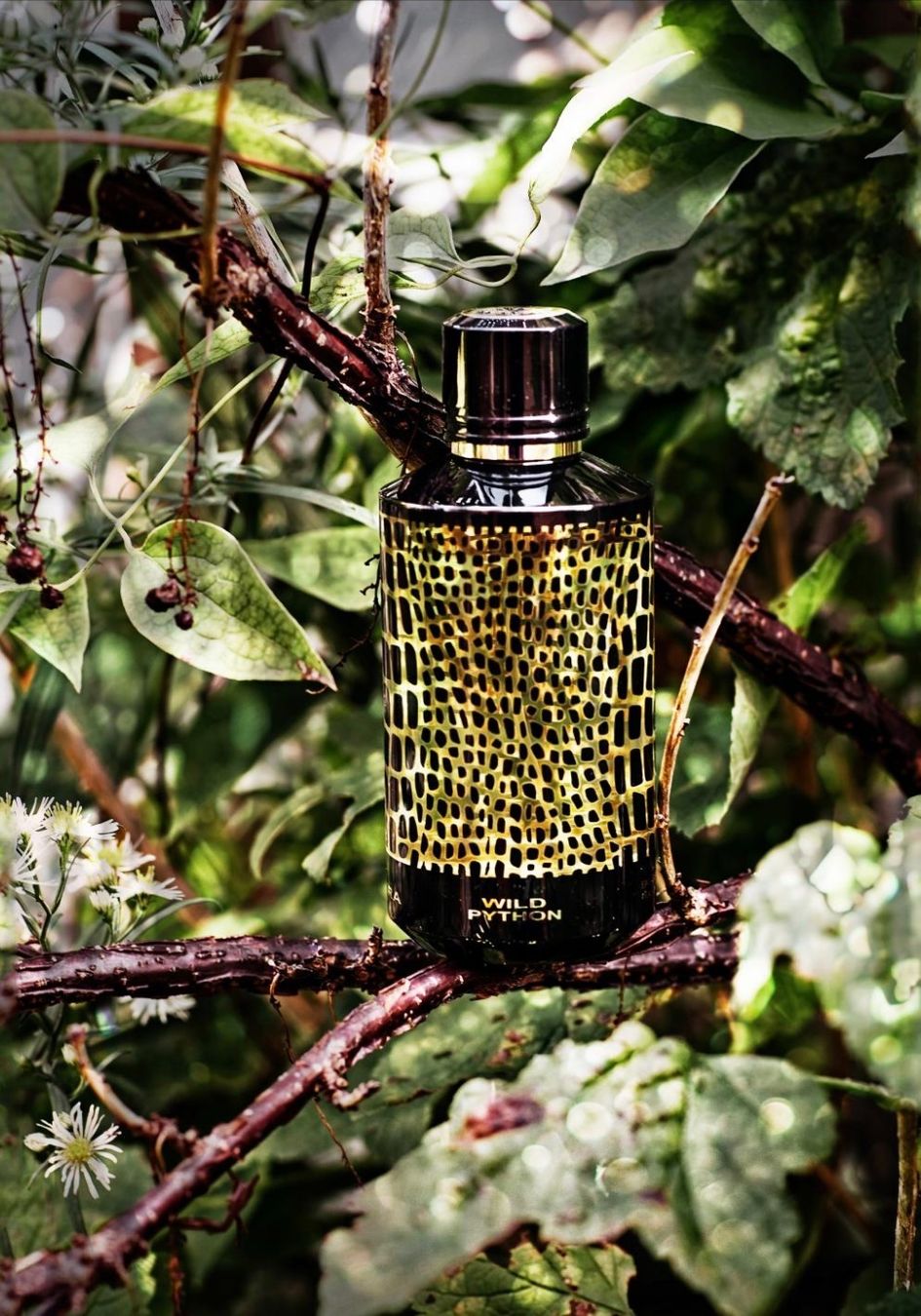Mancera Parfum & Eau de Toilette: Wild Python by Mancera eau de parfum 80 ml – Gebraucht aus Chêne-Bougeries von Seetooyoo 5