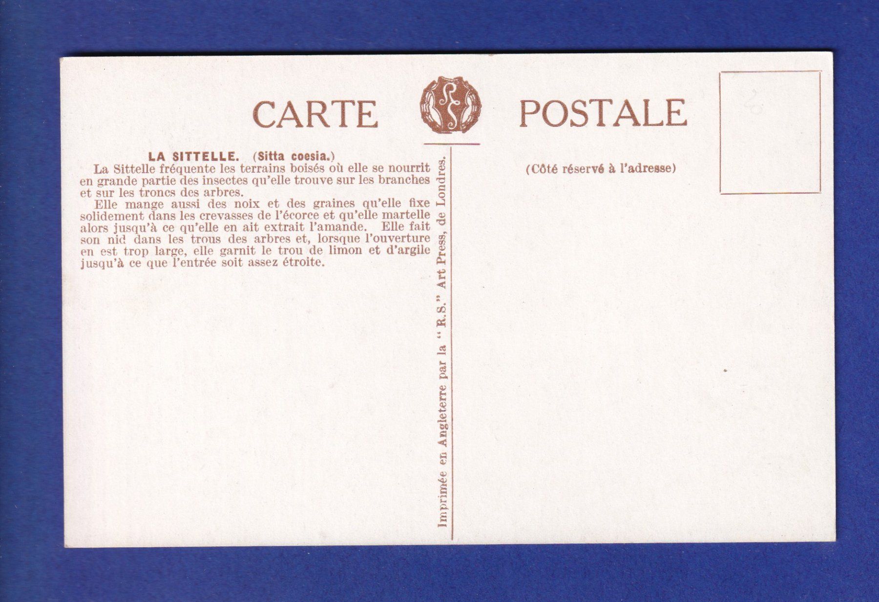 Cartes postales: OISEAU - Sittelle – D'occasion à Pully par nicecards-shop 1