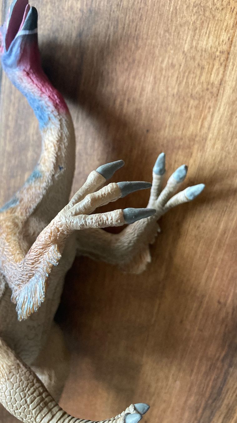Schleich Spielzeuge: Deinocheirus Dinosaurier Modell / CollectA / 30cm Länge – Neu (gemäss Beschreibung) aus Kreuzlingen von tummetott71 2
