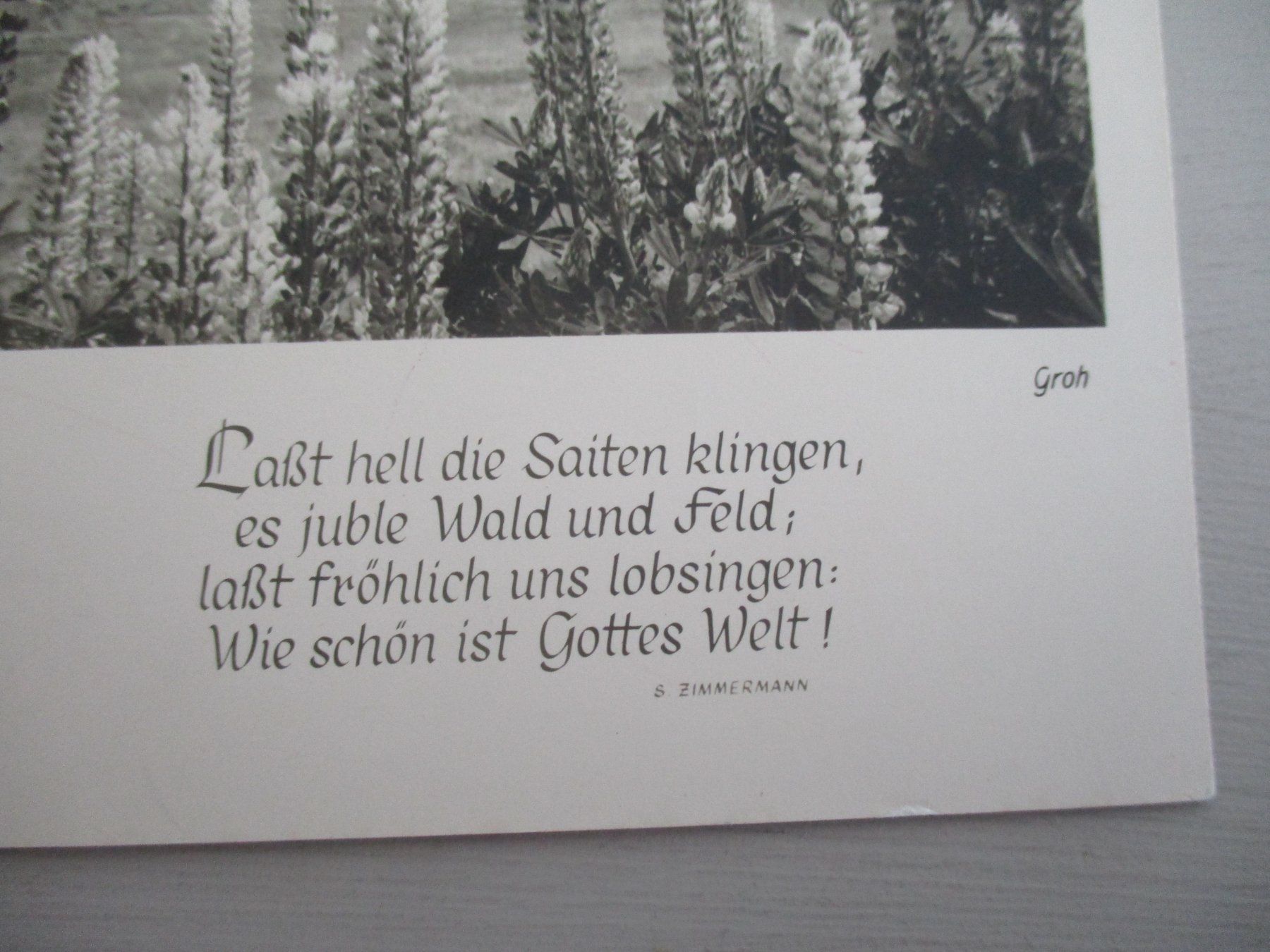 Cartoline postali: ALTE ANSICHTSKARTE VON 1955 – Nuovo (secondo la descrizione) da Buochs venduto da lisa010 2