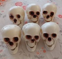 Accessoires Halloween: lot de 6 crânes
