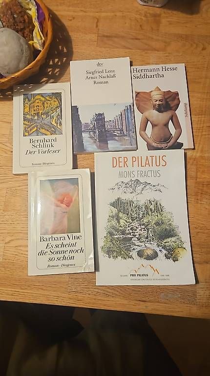Libri: Sprach, Schul und diverse Bücher – Usato da Emmenbrücke venduto da Bluberli 2