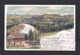 Hof ESCHENBERG bei Winterthur, Litho 1902