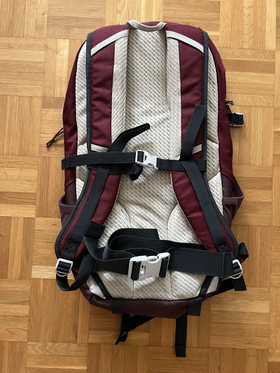 Decathlon Zaini: Schöner Quechua Rucksack, bordeauxrot – Nuovo (secondo la descrizione) da Rüschlikon venduto da Picpara 1