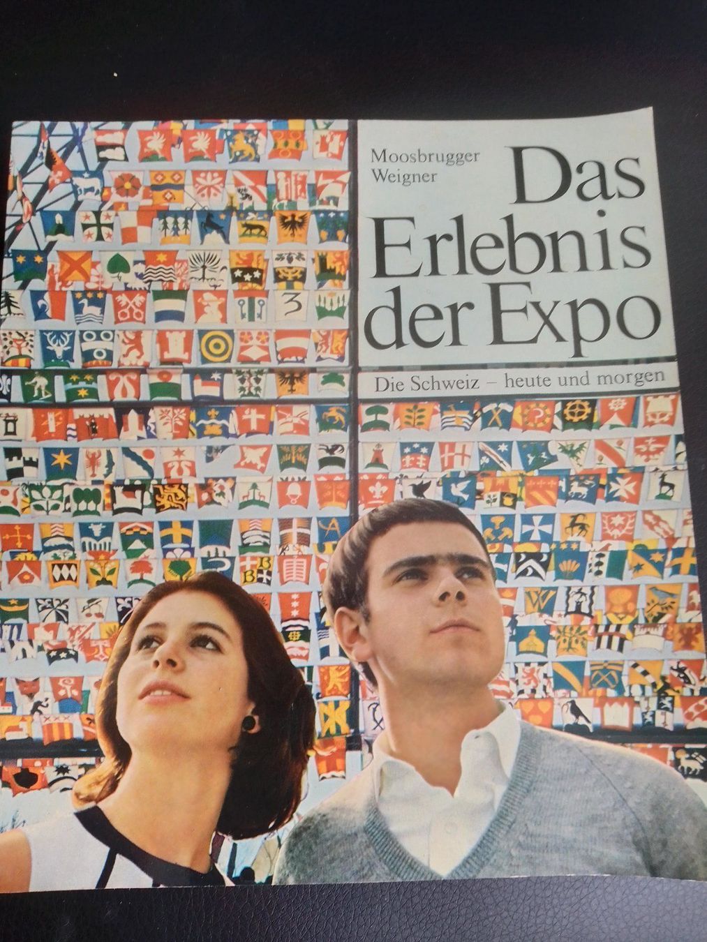 Libri: Das Erlebnis der Expo – Usato da Bassersdorf venduto da elm_f9sw