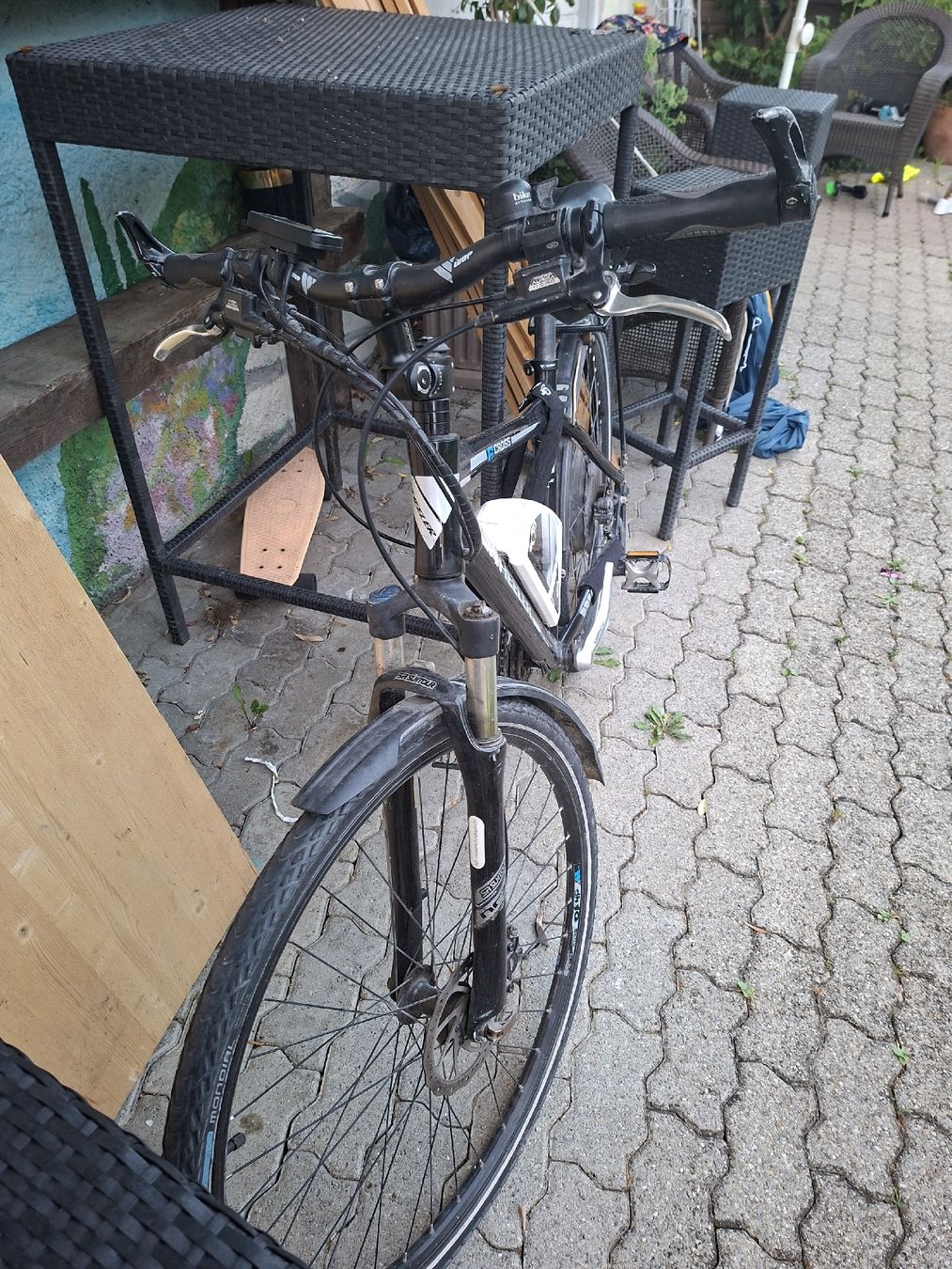 Bionx Biciclette: ebike Bionx – Usato da Eschlikon TG venduto da vulcan1500
