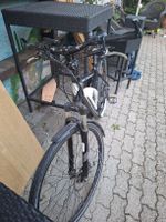 ebike Bionx