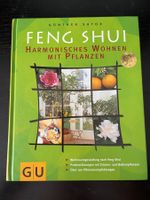 Feng Shui - GU