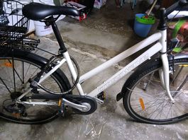 Crosswave Steelrider Damenvelo 28" weiss