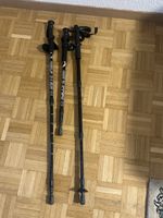 Trekking Poles - Great for Hiking & Winter Sports!
