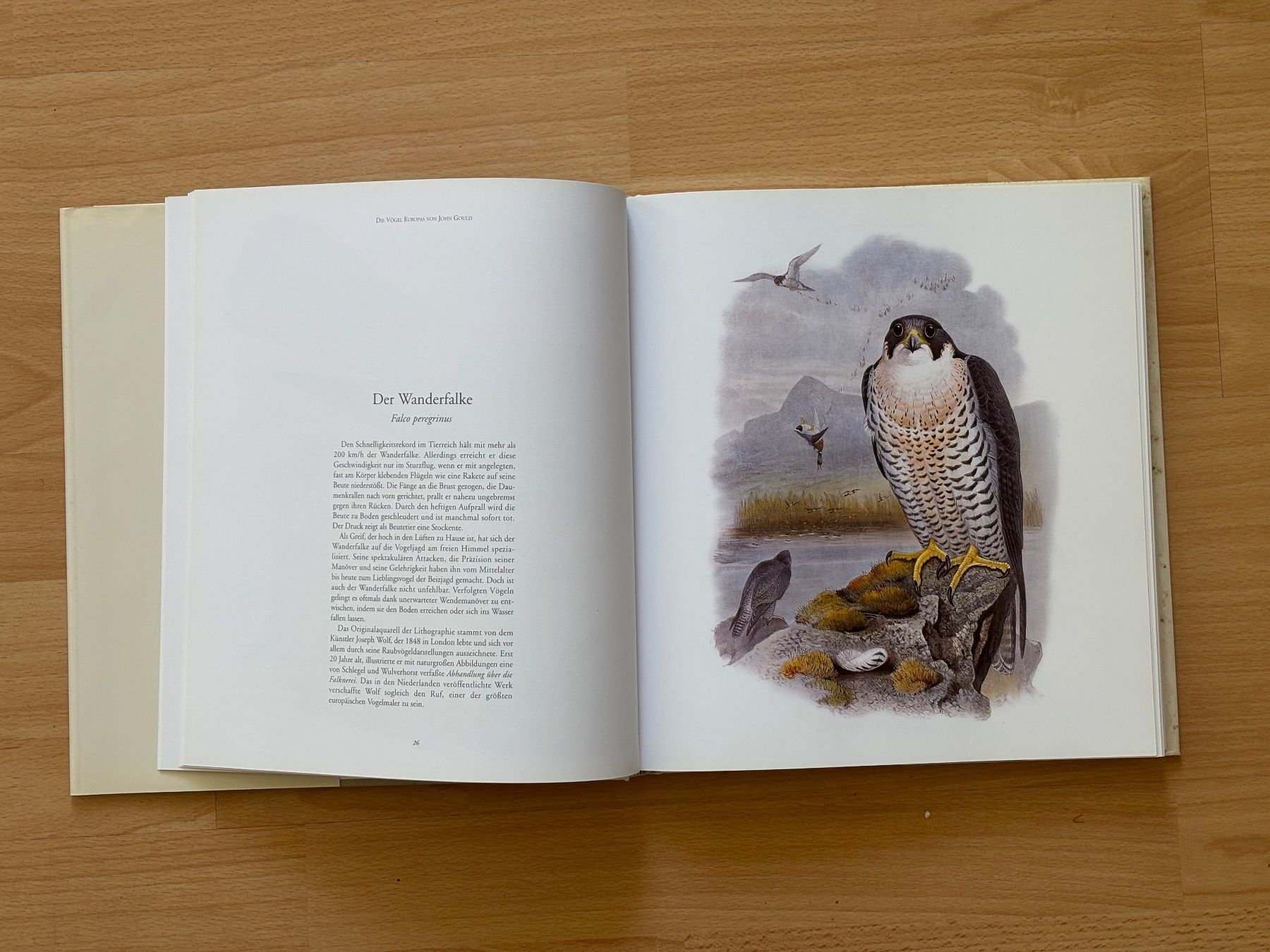 Libri: Die Vögel Europas von John Gould – Usato da Zürich venduto da Masaiti 3