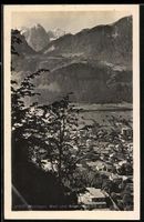Meiringen, Teilansicht mit Well- und Wet