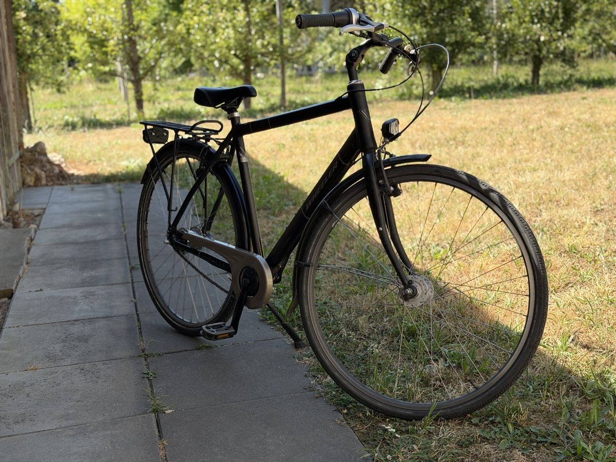 Wheeler Biciclette: Wheeler City Bike Server 33 – Usato da Riehen venduto da fabi013 2