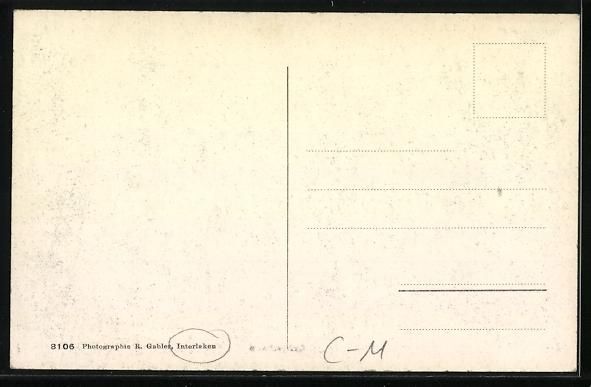 Cartoline postali: AK Interlaken, Bernerhaus – Usato da Berlin venduto da bartko-reher 1